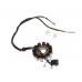 Stator aprindere atv china 250cc,12 bobine, grosime 31mm