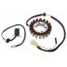 Stator aprindere 18 bobine, SHINERAY ATV250 ST-9C, inaltime bobina 29mm