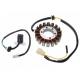 Stator aprindere 18 bobine, SHINERAY ATV250 ST-9C, inaltime bobina 29mm