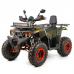 ATV Asix Ranger 250cc, roti 10 inch,1+1 viteze, jante tabla, culoare military