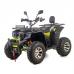 ATV XTR Pro Farmer 019, roti 10 inch, 250cc, 1+1 viteze, jante de aluminu, culoare negru/verde