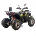 ATV XTR Pro Farmer 019, roti 10 inch, 250cc, 1+1 viteze, jante de aluminu, culoare negru/verde