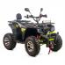 ATV XTR Pro Farmer 019, roti 10 inch, 250cc, 1+1 viteze, jante de aluminu, culoare negru/verde