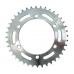 Pinion spate 40 dinti, Blade R