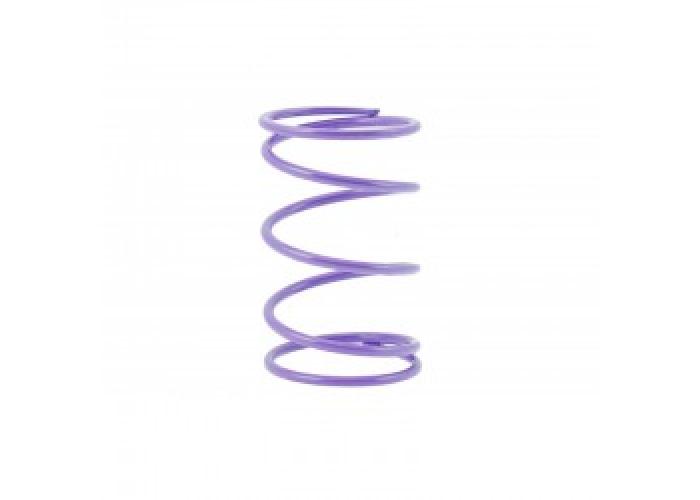 Arc variator spate violet 35kg